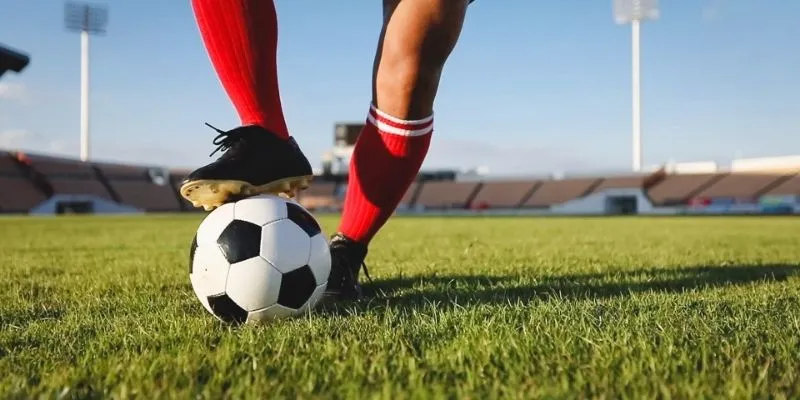 Khám phá các ưu thế về cá cược trực tuyến của BONG88 